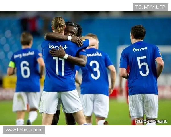 俄罗斯与爱沙尼亚足球赛比分揭晓精彩瞬间回顾与分析